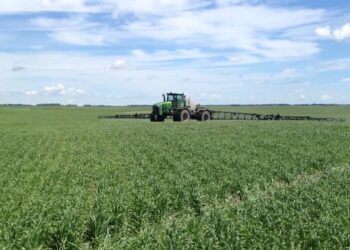 Llama Consejo Agropecuario a CILA a “no matar” a Tamaulipas con firma del acta 330 que viola el Tratado de 1944