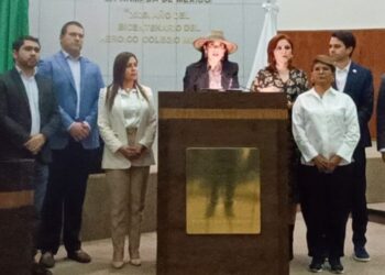 Diputada hace un llamado en tribuna del Congreso para regresar la paz a San Fernando