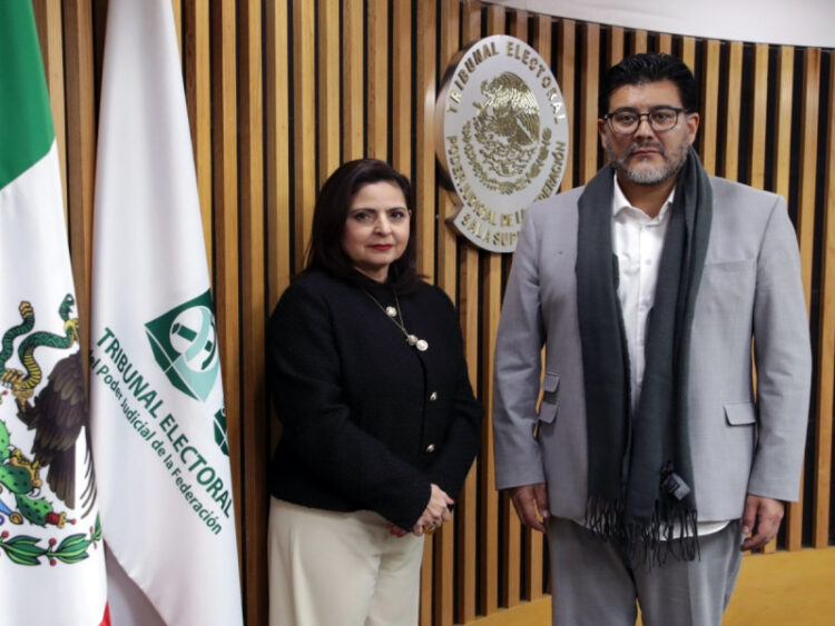 Nombran a Mónica Soto como magistrada presidenta del TEPJF