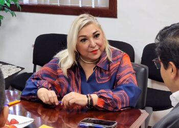 Creará Secretaría de Finanzas figura del Síndico del Contribuyente: Adriana Lozano