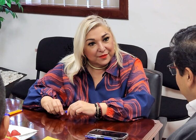 Creará Secretaría de Finanzas figura del Síndico del Contribuyente: Adriana Lozano