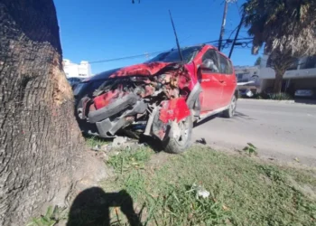 Chofer estrella auto con árbol cerca del Hospital General