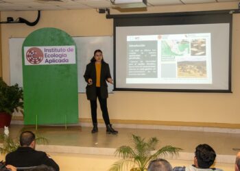 Realiza UAT estudios para proteger ruta migratoria de la mariposa monarca