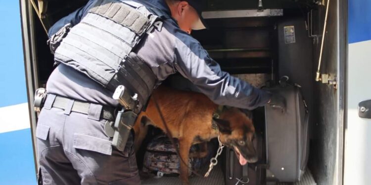 Guardia Estatal mantiene vigilancia en centrales de autobuses de Tamaulipas