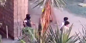 Grupo armado entra a universidad en Sinaloa desnuda a alumnos y los tablea