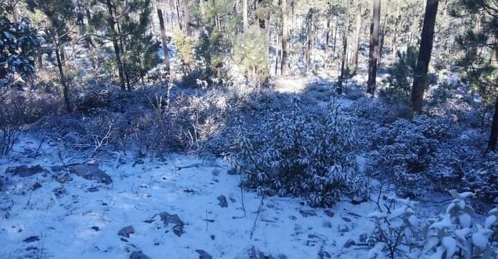 Nieva en  Miquihuana