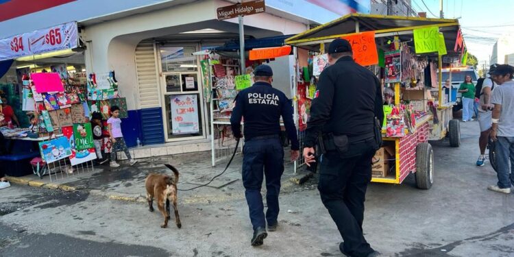 Decomisan 85 kilos de pirotecnia en zona aledaña al Mercado “Pedro Argüelles”
