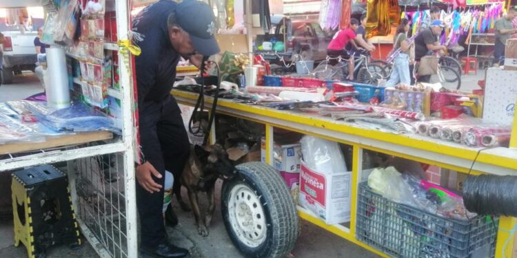 Decomisan 85 kilos de pirotecnia en zona aledaña al Mercado “Pedro Argüelles”
