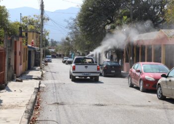 Llama la SS de Tamaulipas a reforzar prevención del dengue combatiendo al mosco transmisor