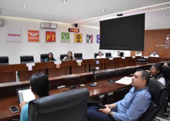 Buscarán 14 candidaturas independientes