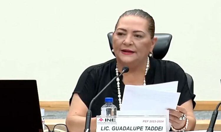 Disputa en INE por regulación de nombramientos