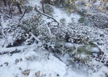 Nieva en  Miquihuana