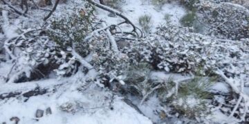 Nieva en  Miquihuana