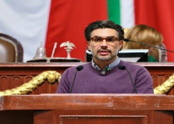 Animales de compañía no son juguetes: PVEM