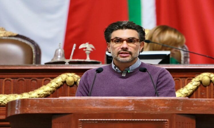 Animales de compañía no son juguetes: PVEM