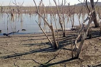 Sequía afecta 76.12% del territorio de México; frentes fríos, insuficientes