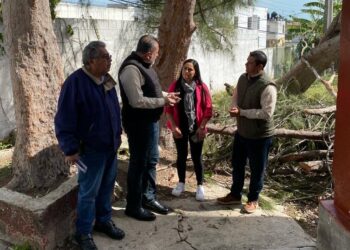 Restaurará ITIFE dos escuelas de Madero y Tampico afectadas por vientos