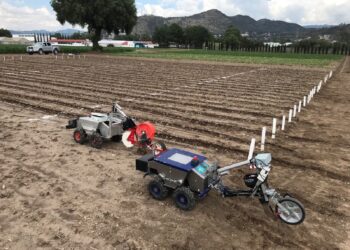 Emplean robots ‘a todo terreno’ para automatizar los procesos de siembra