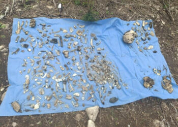 Hallan restos calcinados en narcofosa de Tamaulipas