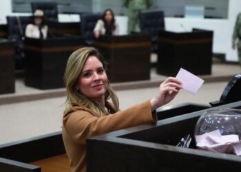 Plantea Diputada del PRI reformar Leyes de Adquisiciones y Obras de Tamaulipas