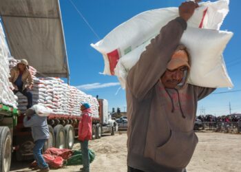 Llegará fertilizante gratuito de Bienestar 2024 para cultivos básicos en Tamaulipas