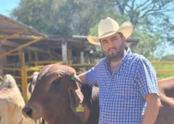 Asesinan a presidente de la Asociación Ganadera en Veracruz y a tres más