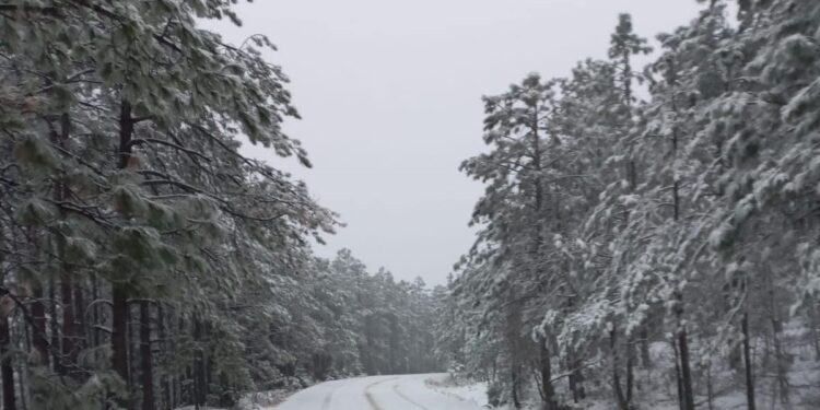 Se registran intensas nevadas en Chihuahua; alertan por cierres carreteros