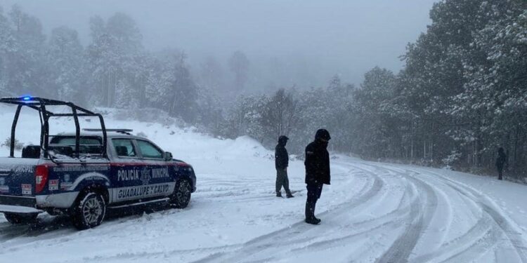 Se registran intensas nevadas en Chihuahua; alertan por cierres carreteros