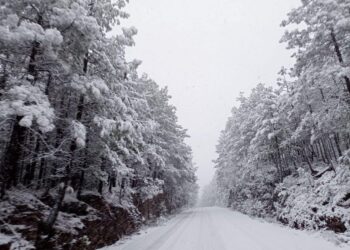 Se registran intensas nevadas en Chihuahua; alertan por cierres carreteros