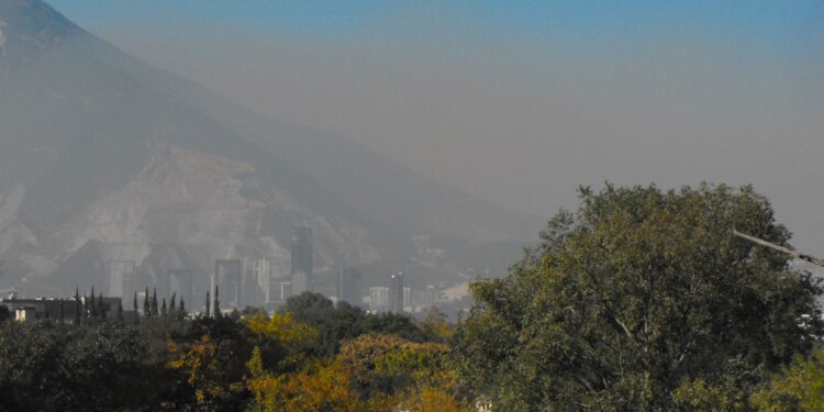 Estudia la UAT el impacto de la urbanización y contaminación en la vegetación en México