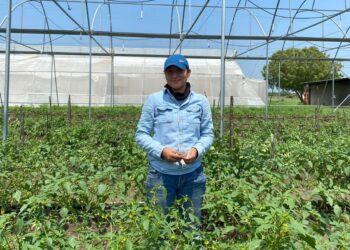 Identifica UAT plantas con potencial de bioinsecticida