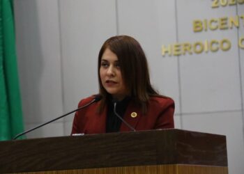 Plantea Diputada capacitar a mujeres víctimas de violencia física.