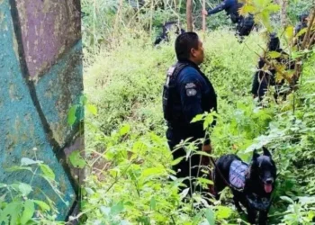 Encuentran sin vida a Cristian Gael, niño con autismo desaparecido en Uruapan