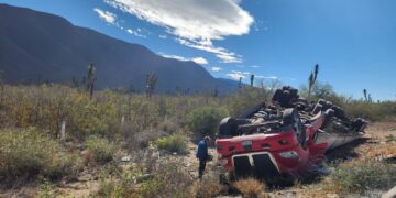 Vuelca tráiler cargado con limones en carretera SLP-Tula-Victoria