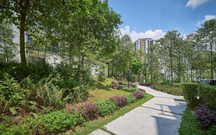 Reforman Código Municipal de Tamaulipas para fomentar adopción de áreas verdes