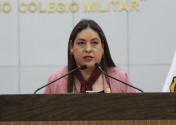 Piden incorporar concepto “bosque urbano” en Ley de Desarrollo Urbano