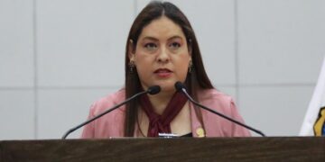 Piden incorporar concepto “bosque urbano” en Ley de Desarrollo Urbano