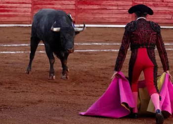 Jueza niega suspensión definitiva a corridas de toros en CDMX
