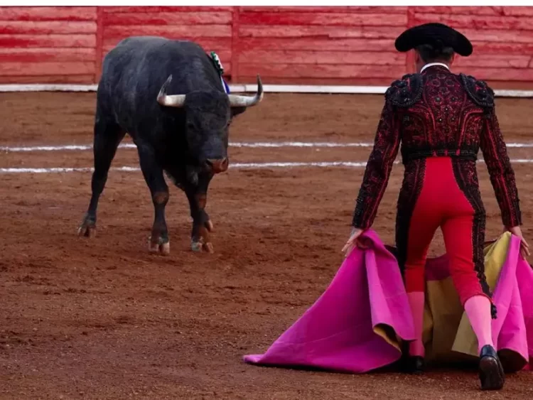 Jueza niega suspensión definitiva a corridas de toros en CDMX