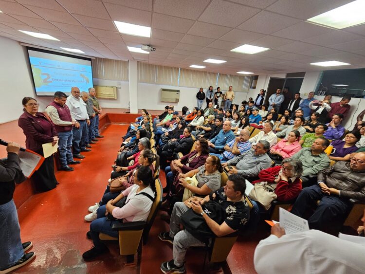 Anuncian programa de estímulos a la apicultura en la región central de Tamaulipas