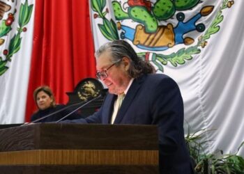 Aprueban diputados de Tamaulipas iniciativa de protección a animales abandonados en la vía pública