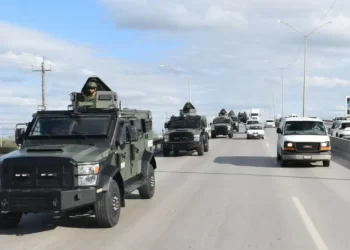 Ejército abate a 12 sicarios en Miguel Alemán, Tamaulipas