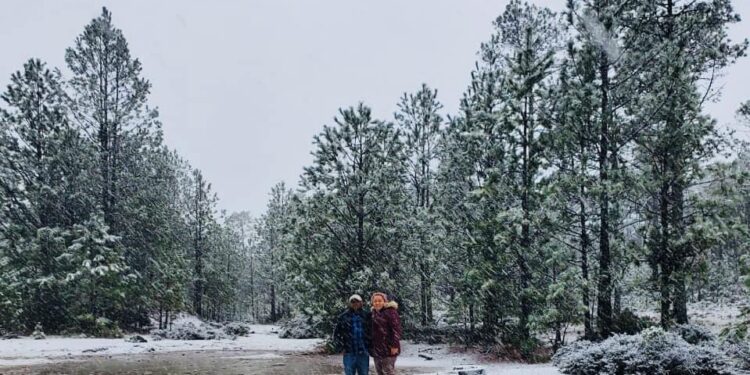 Y la nieve llegó a Tamaulipas, en la sierra de Miquihuana
