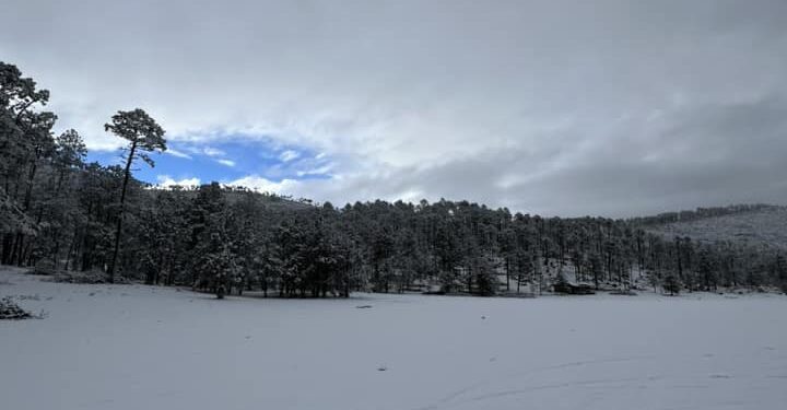Y la nieve llegó a Tamaulipas, en la sierra de Miquihuana