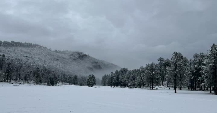 Y la nieve llegó a Tamaulipas, en la sierra de Miquihuana