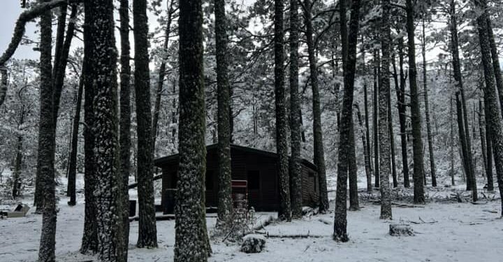 Y la nieve llegó a Tamaulipas, en la sierra de Miquihuana