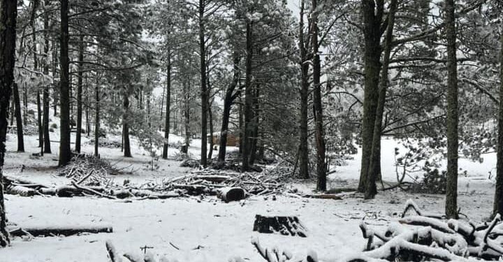 Y la nieve llegó a Tamaulipas, en la sierra de Miquihuana