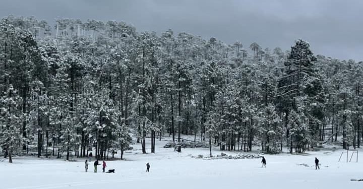 Y la nieve llegó a Tamaulipas, en la sierra de Miquihuana