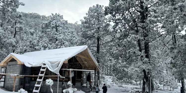 Y la nieve llegó a Tamaulipas, en la sierra de Miquihuana