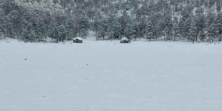 Y la nieve llegó a Tamaulipas, en la sierra de Miquihuana